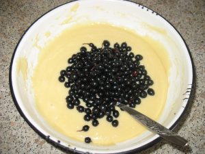 IMG_1845